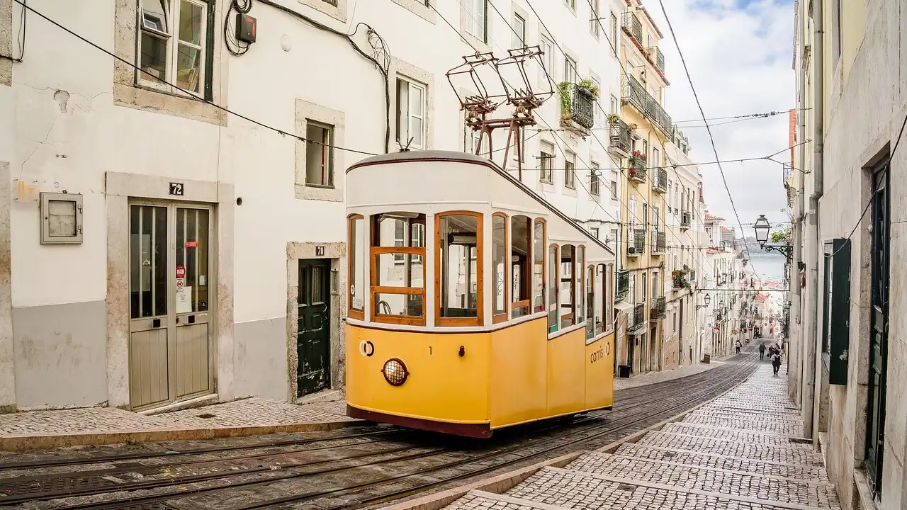 Main Differences European Between Brazilian Portuguese